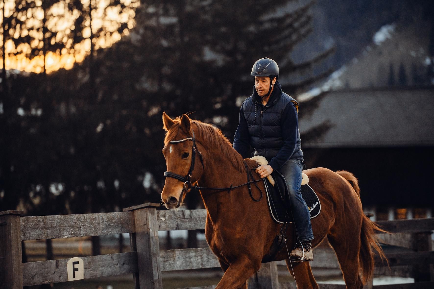 A rider is sitting on a brown horse and is riding in an indoor arena. In the background, trees and a facade can be seen.