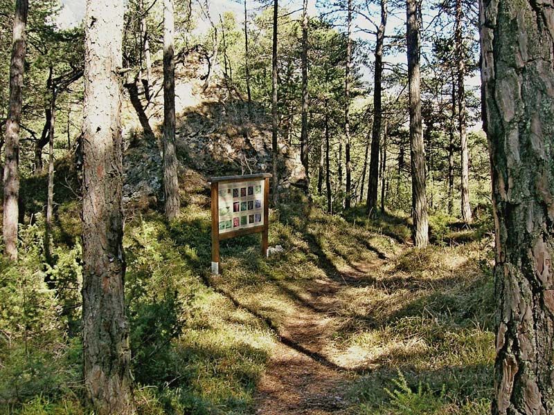 Geoweg Haiming Forchet
