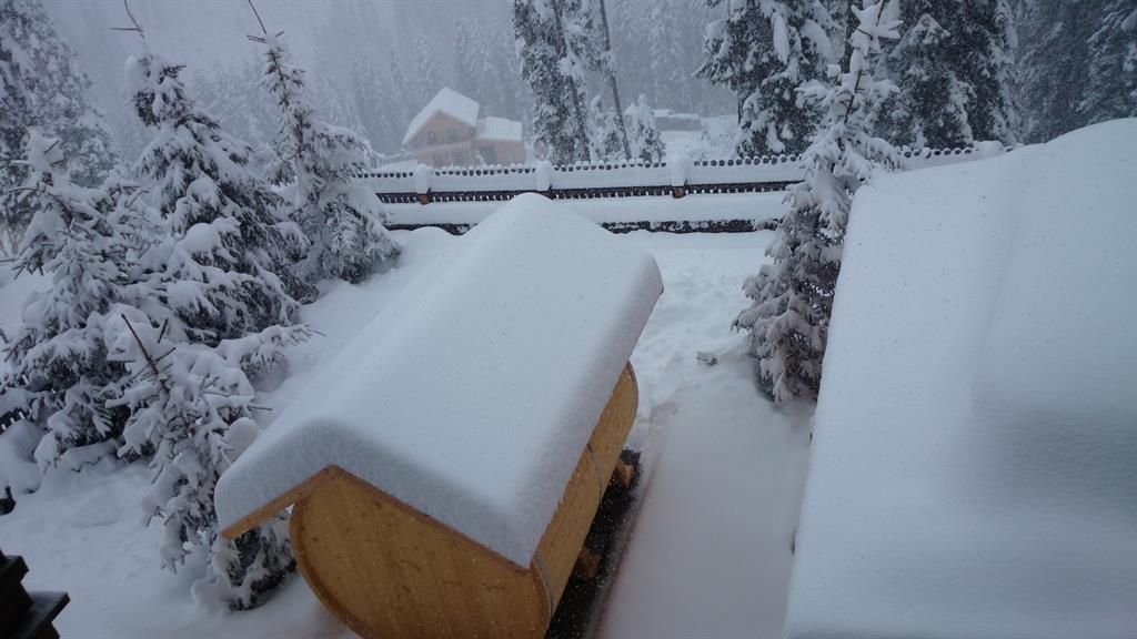 A snowy landscape with two wooden cabins and many snow-covered trees. The atmosphere is calm and wintry.