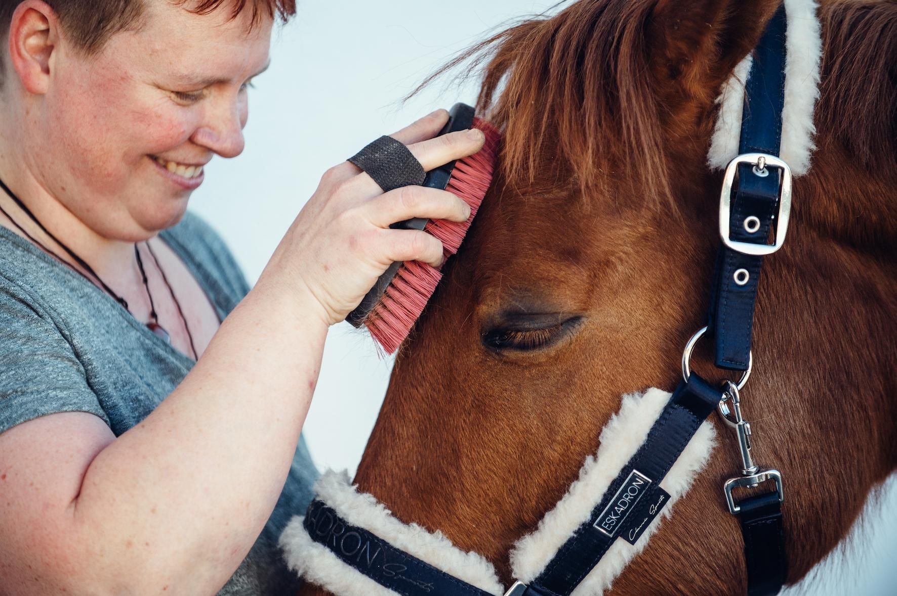 A person is brushing the coat of a brown horse. Both appear relaxed and friendly with each other.