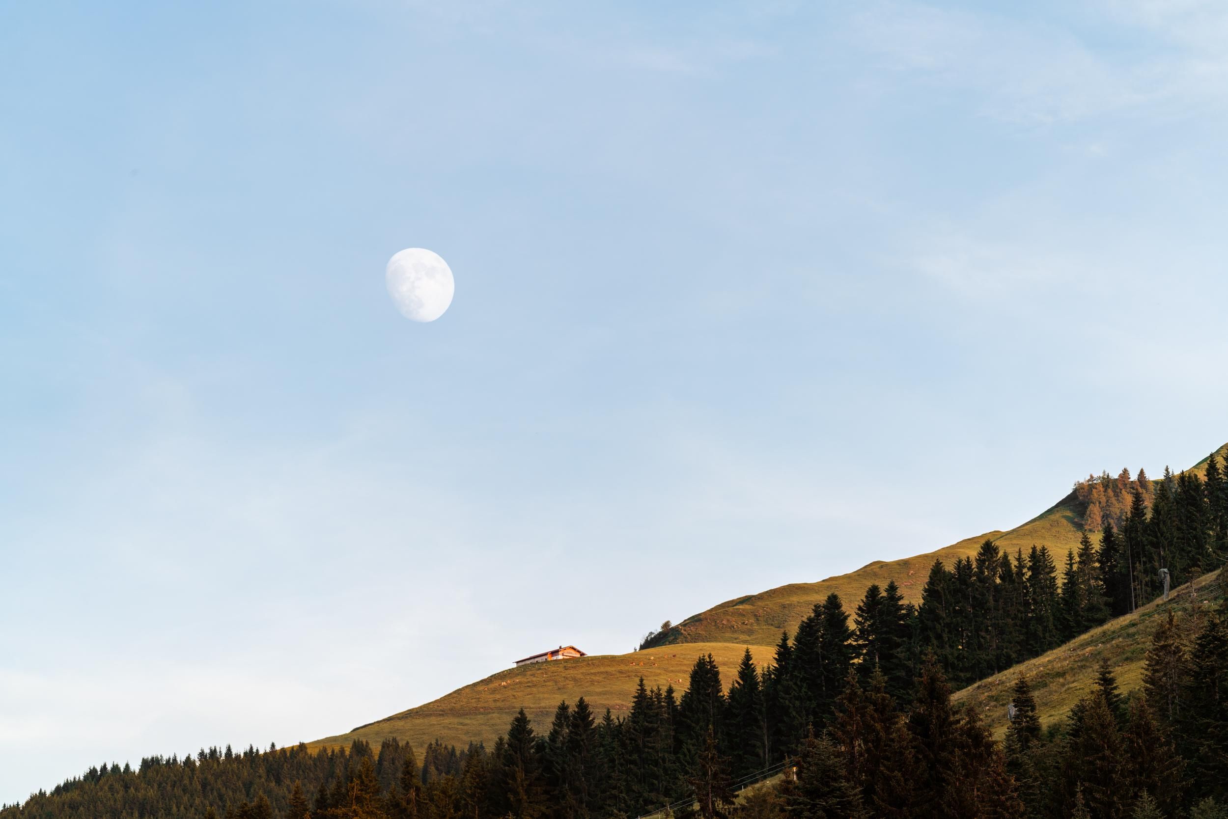 A gentle hill with green meadows and dark forest. The moon is high in the sky, giving the scene a tranquil atmosphere.