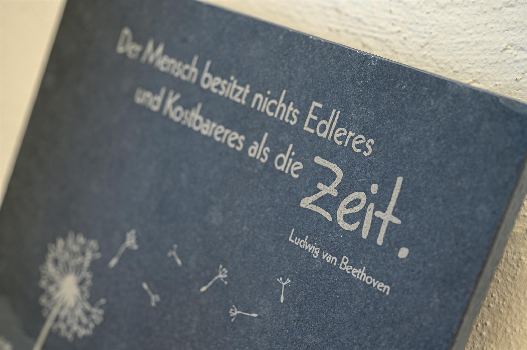 A quote by Ludwig van Beethoven about the precious nature of time. The background is dark blue with a stylized dandelion.