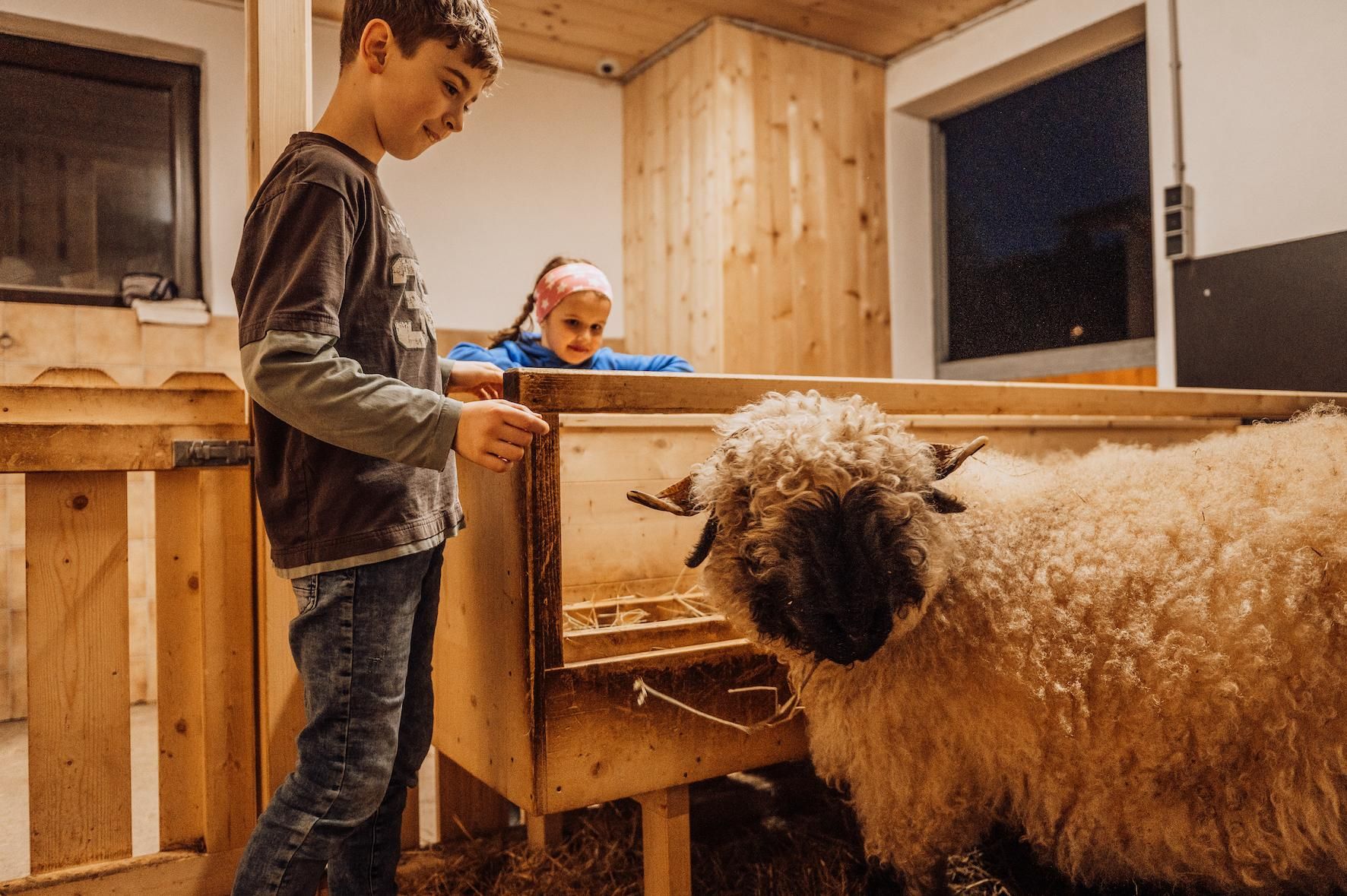 A child and a girl are standing in a stable. A sheep is nearby and is watching curiously.