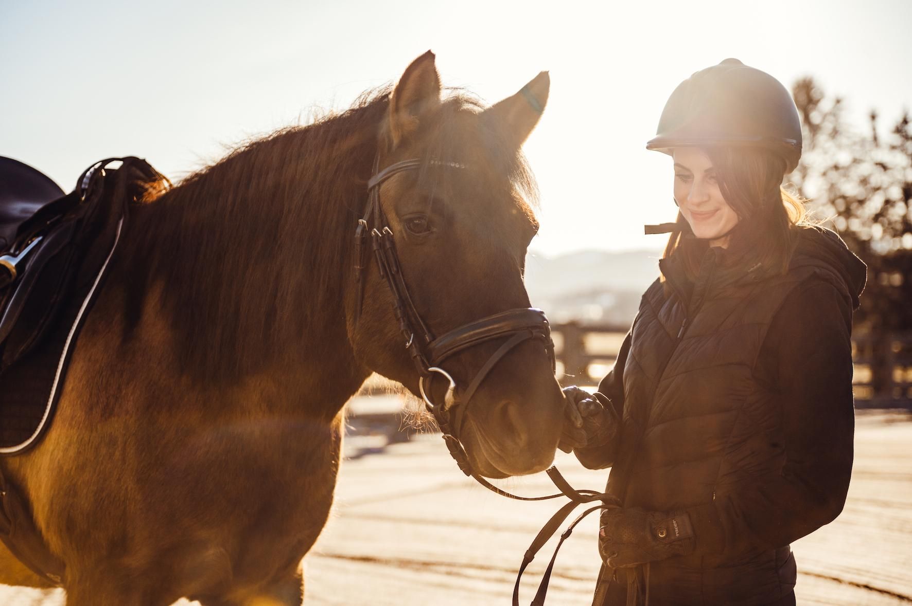 A riding person stands next to a horse in the evening sun. Both appear relaxed and content.