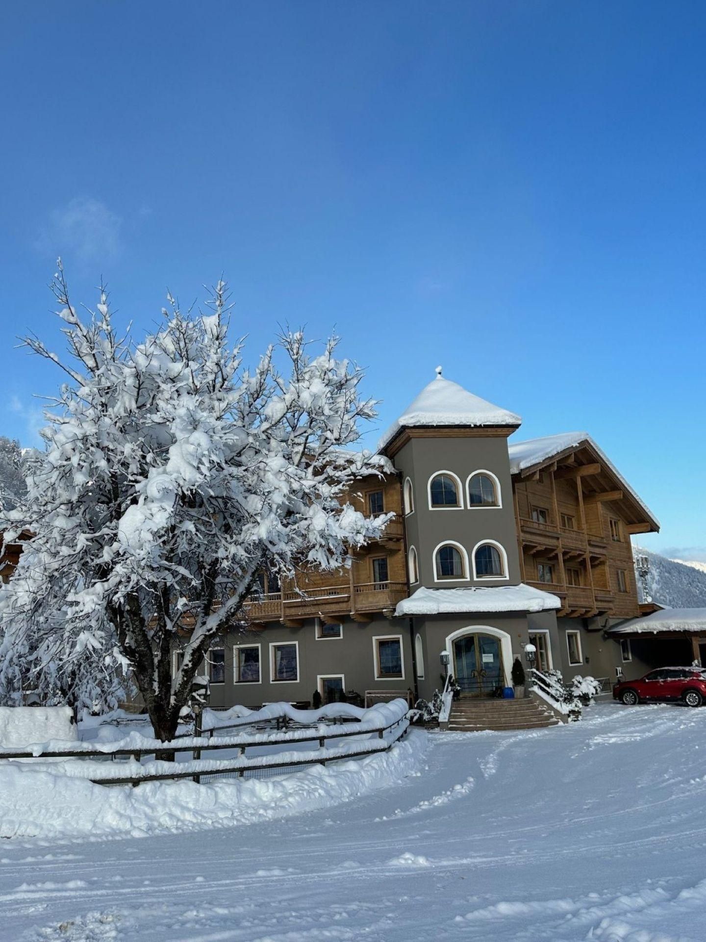 A beautiful building in the snow with a large, snow-covered tree. The clear blue sky completes the winter landscape.