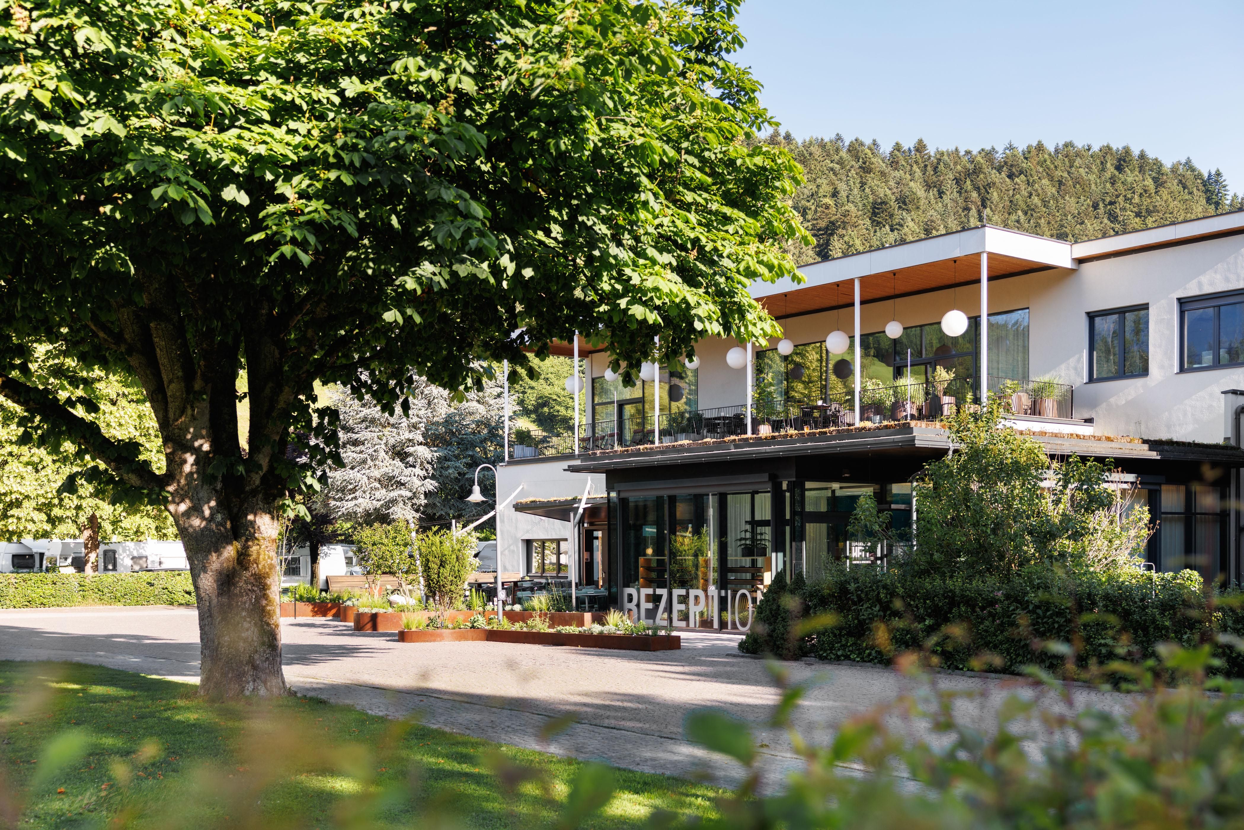 A modern building with a reception area.
Surrounded by trees and green landscape.