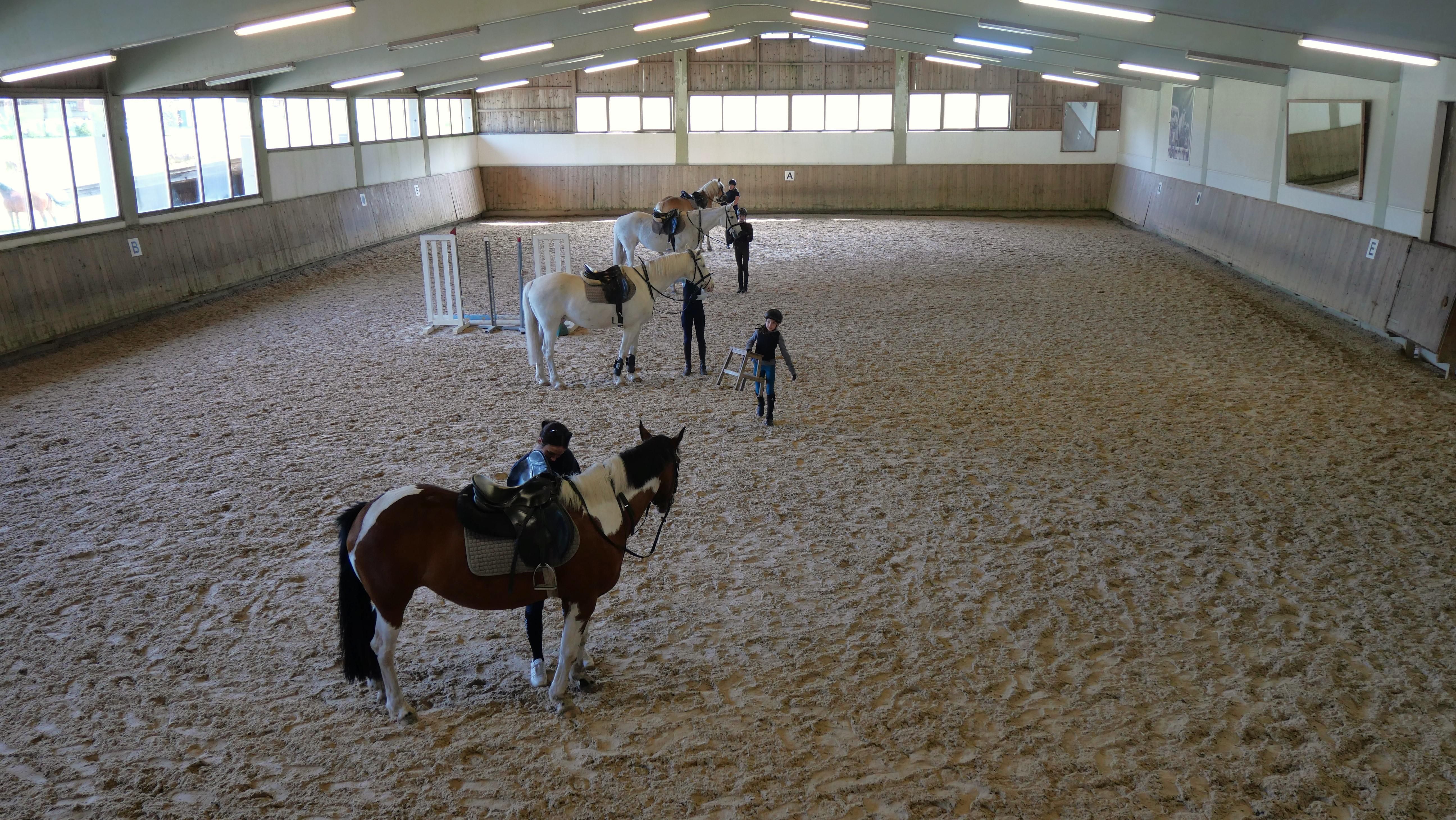 A riding stable with several riders and horses on sandy ground. The athletes are practicing in a spacious hall with windows.