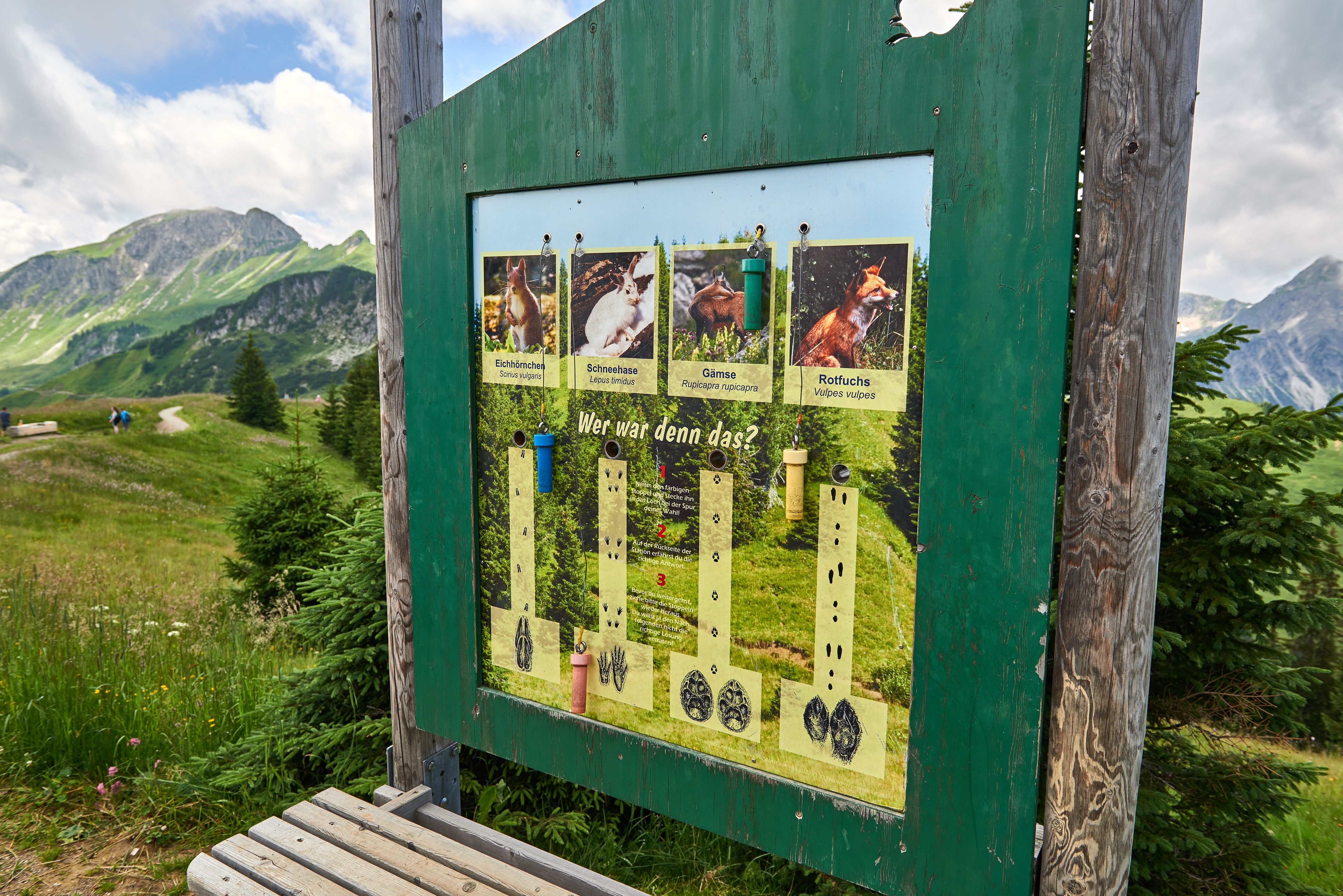 Neuner-Erlebnisweg Tannheimer Tal, Schautafel