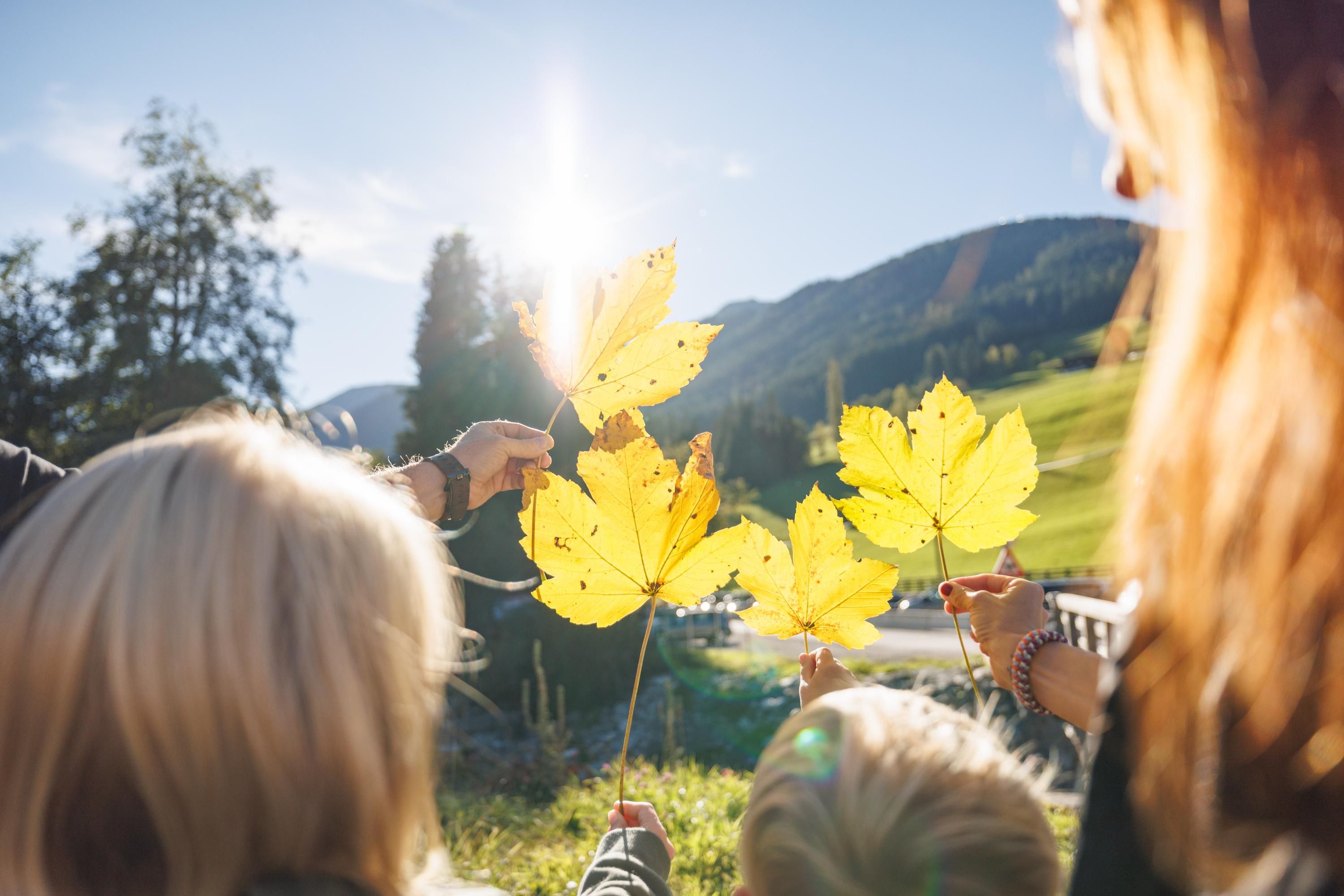 A group of people is holding large yellow leaves in the sun. In the background, mountains and a clear sky are visible.