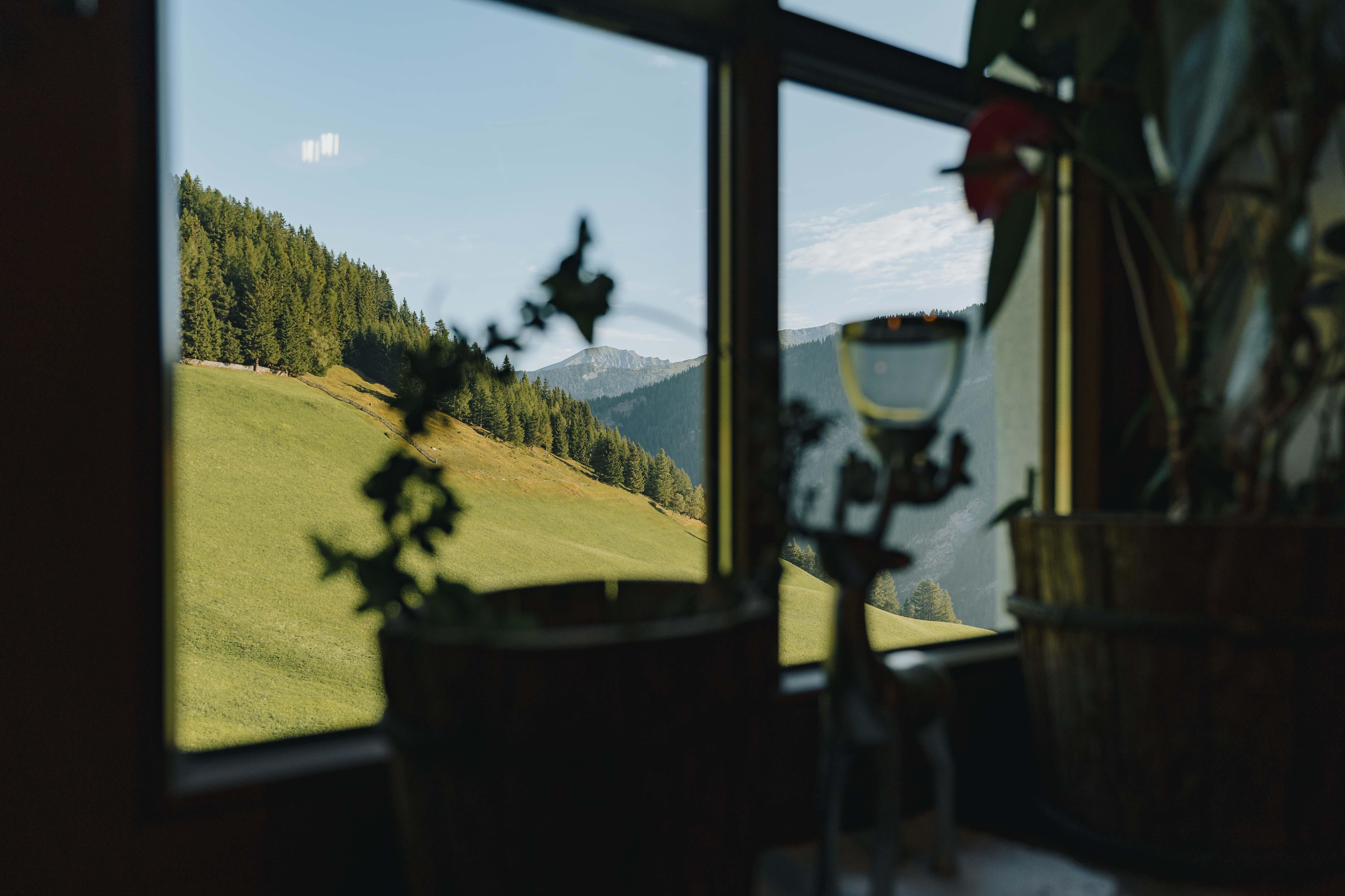 A view from a window onto a green meadow and forested hills. In the foreground, some plants and decoration items can be seen.