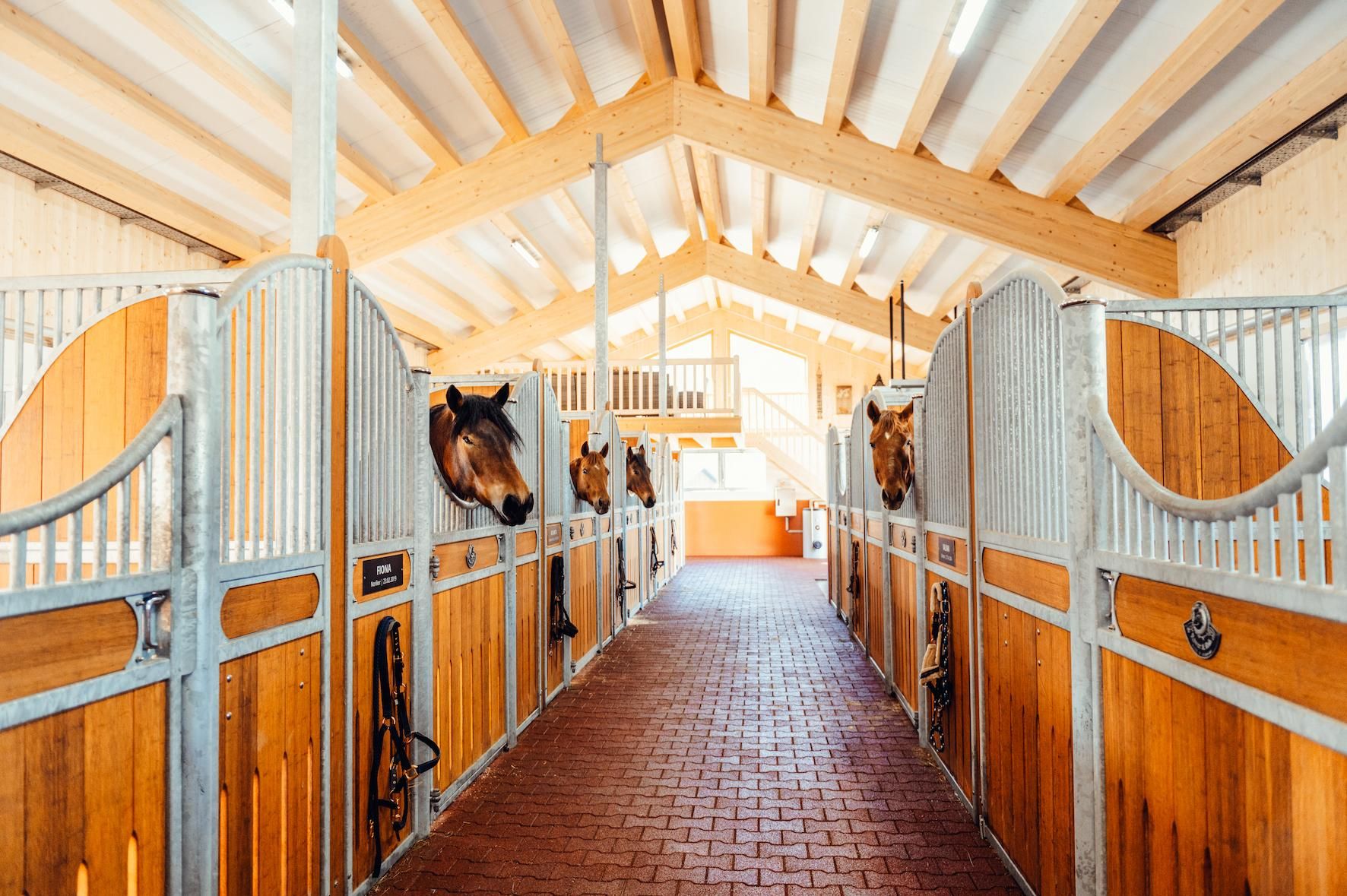 A spacious stable with wooden stalls for horses. The path is paved with red bricks and the ceiling is bright and modern.