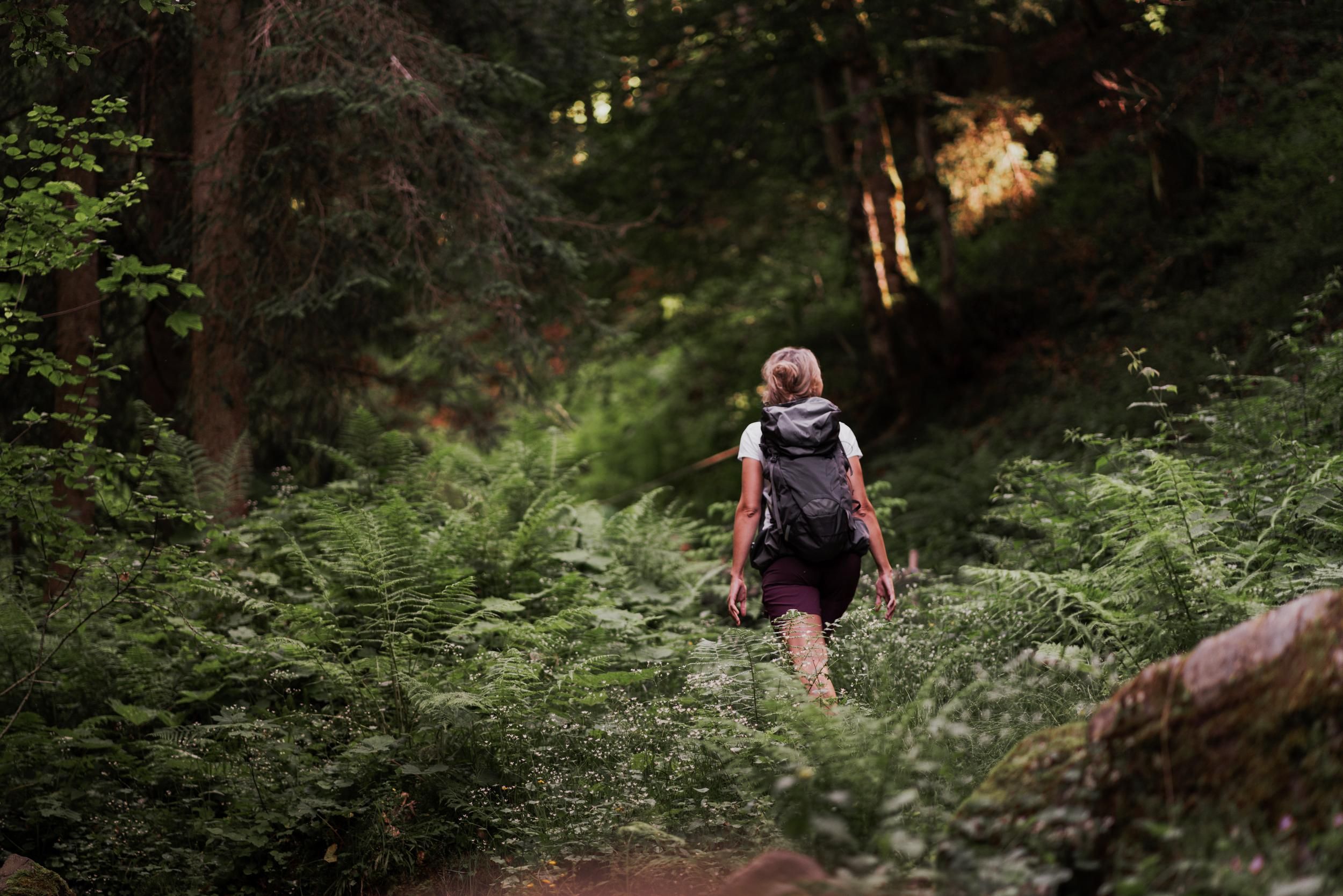 A hiker walks along a narrow path through a dense forest. Tall ferns and trees grow around her, creating a calm and natural atmosphere.